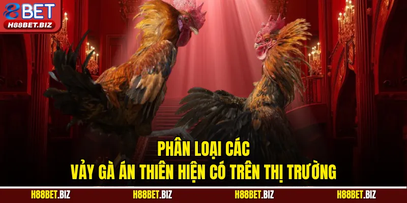 Phân loại các vảy gà án thiên hiện có trên thị trường